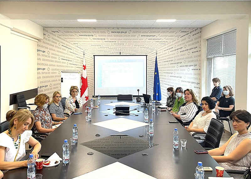 გრძელდება ზოგადსაგანმანათლებლო დაწესებულებებისთვის ავტორიზაციის ახალი სტანდარტების  საჯარო განხილვები