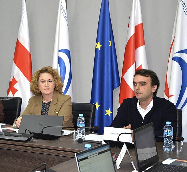 ადრეული და სკოლამდელი აღზრდისა და განათლების დაწესებულებების ავტორიზაციის საბჭოს წევრებთან სამუშაო შეხვედრა გაიმართა